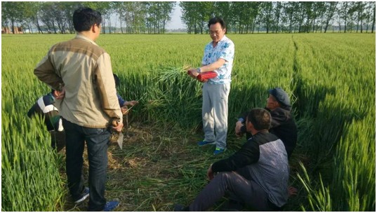 风水大师袁建新—玄青子简介